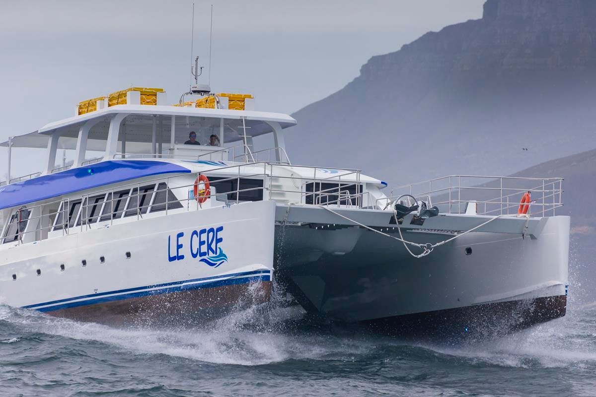 2019 Two Oceans 110 Day Charter Power Catamaran
