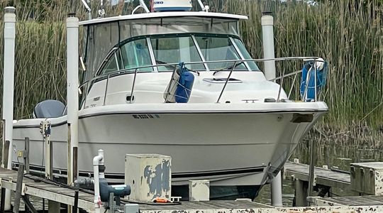 2002 Pursuit Boats 3070 Express