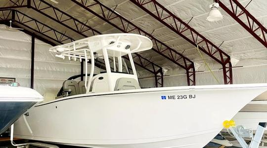 2021 Sea Pro 239