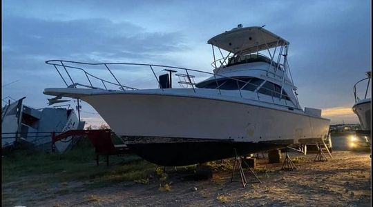 1991 Trojan Boats Sportfish