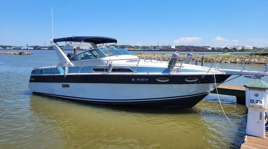 1991 Four Winns Vista 315