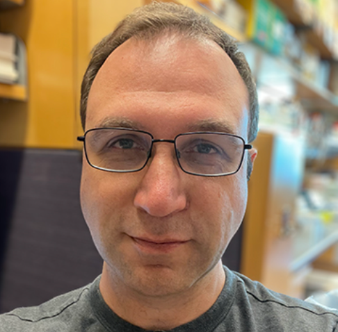 Man wearing glasses looks at the camera