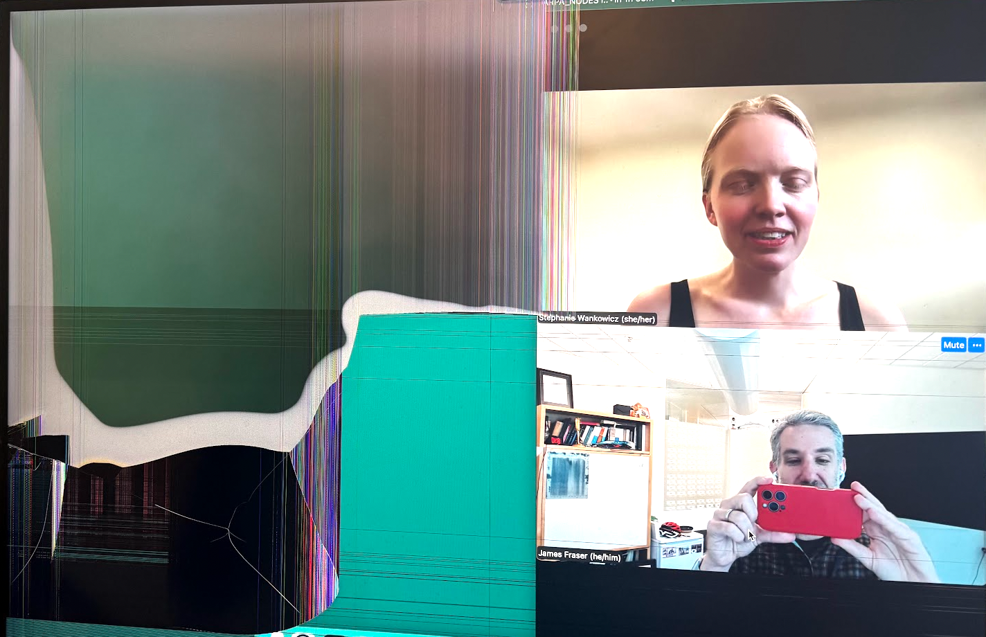 Damaged video call interface shows two participants and severe screen distortion