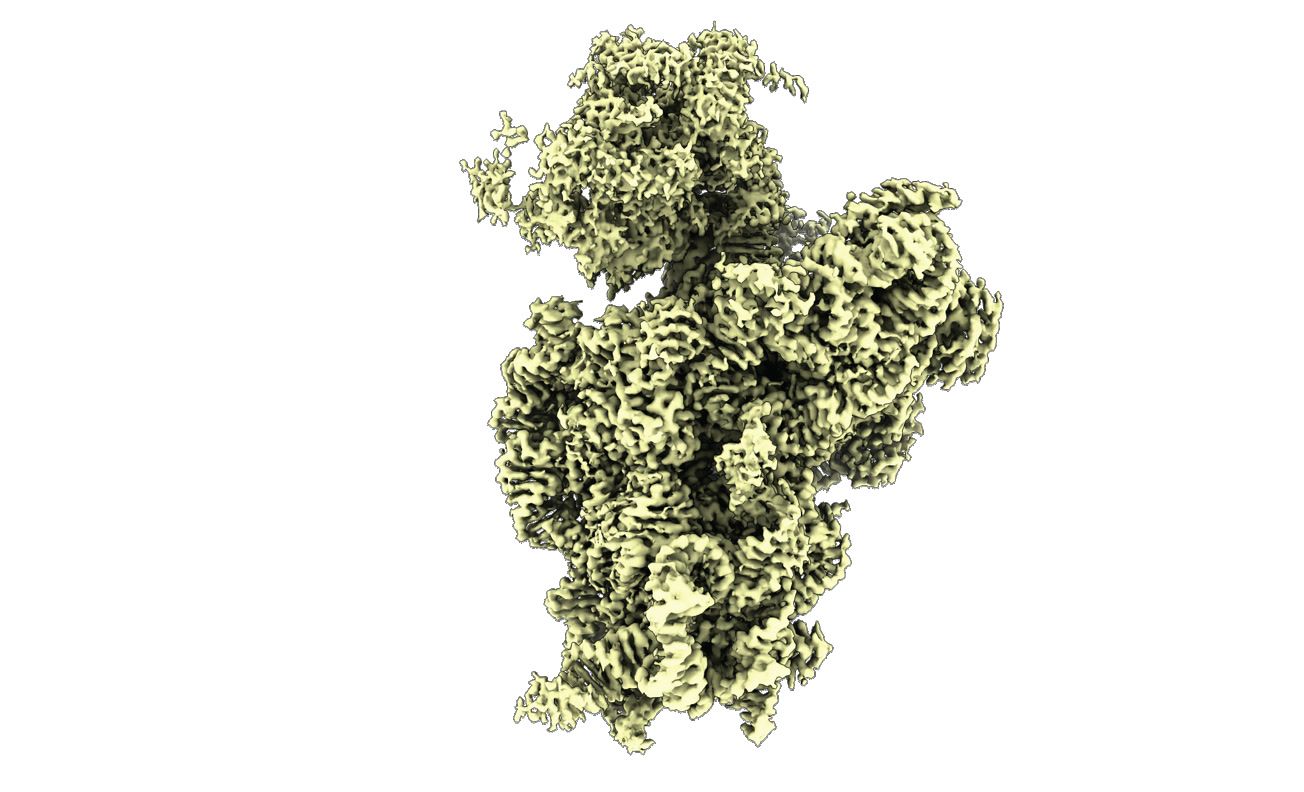 Three-dimensional molecular structure with a densely folded surface