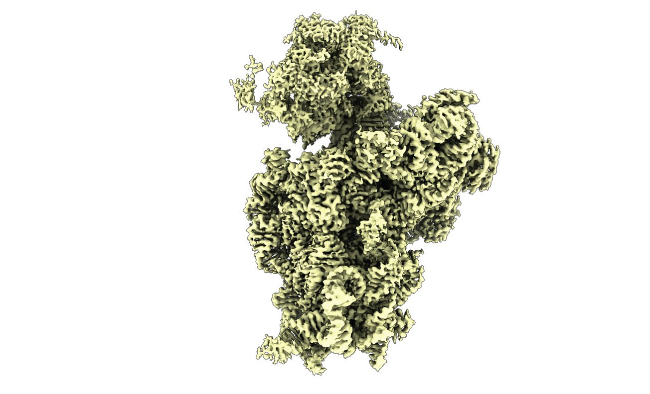 Three-dimensional molecular structure with a densely folded surface