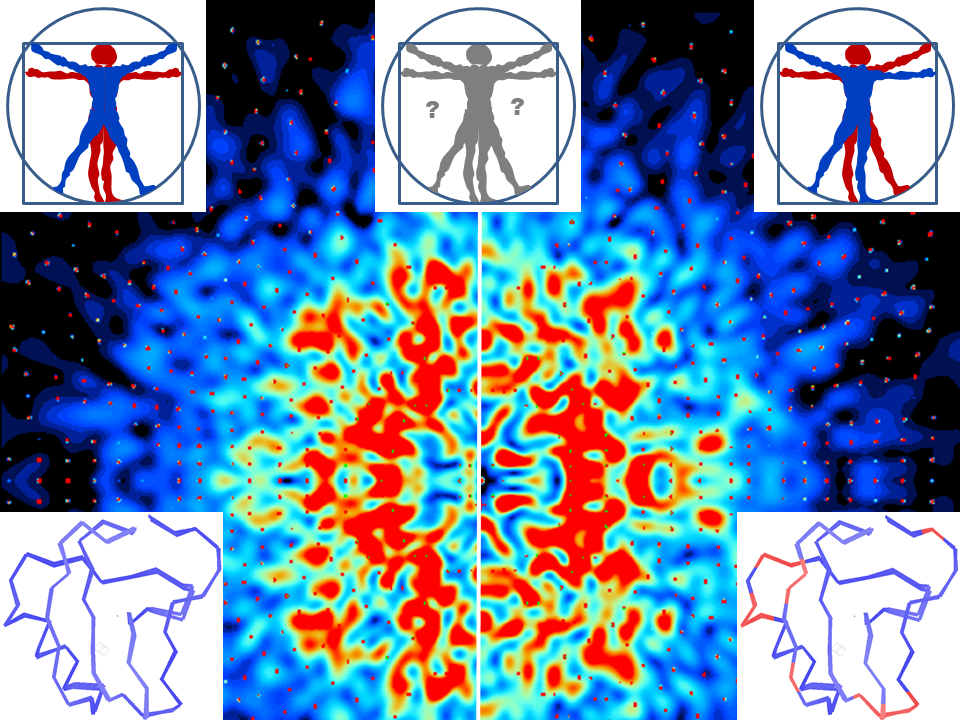 Heat map compares human poses and movement paths with highlighted differences