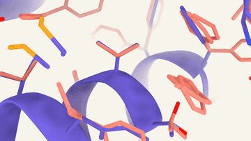 Molecular structures surround purple protein ribbons in an animated model