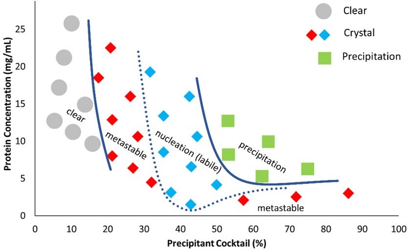 Phase diagram of protein concentration versus precipitant cocktail percentage
