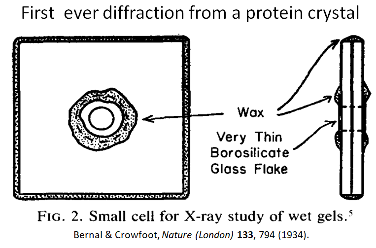 Diagram of small cell for X-ray study of wet gels