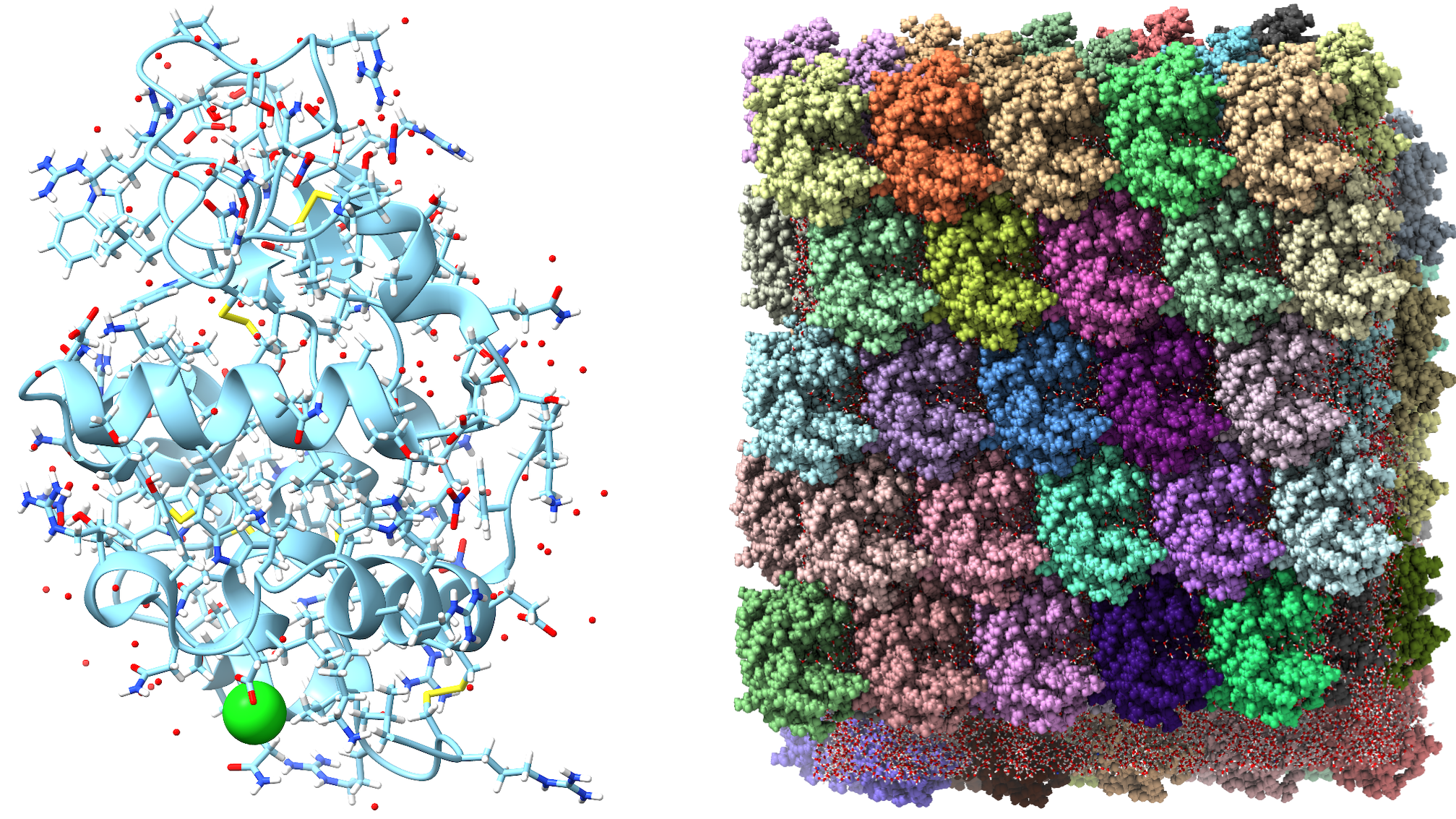 Molecular models show a single protein and a densely packed protein assembly
