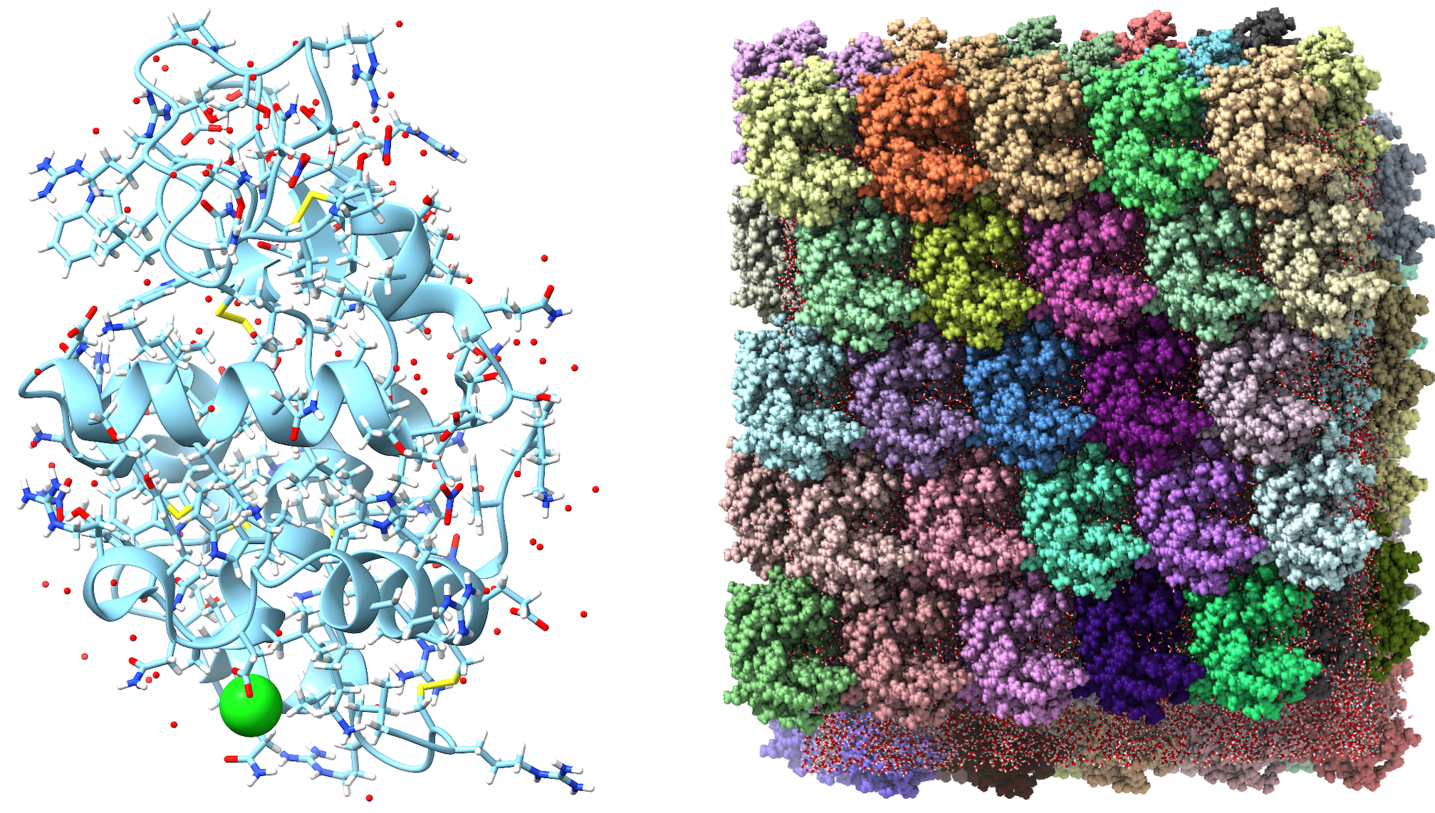 Molecular models show a single protein and a densely packed protein assembly