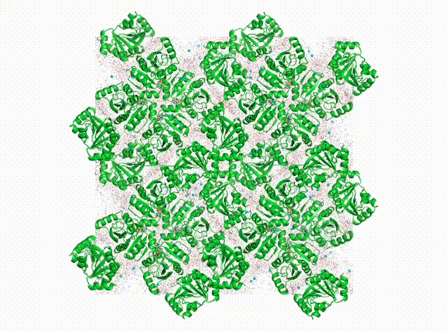 Cluster of green ribbon-like protein structures
