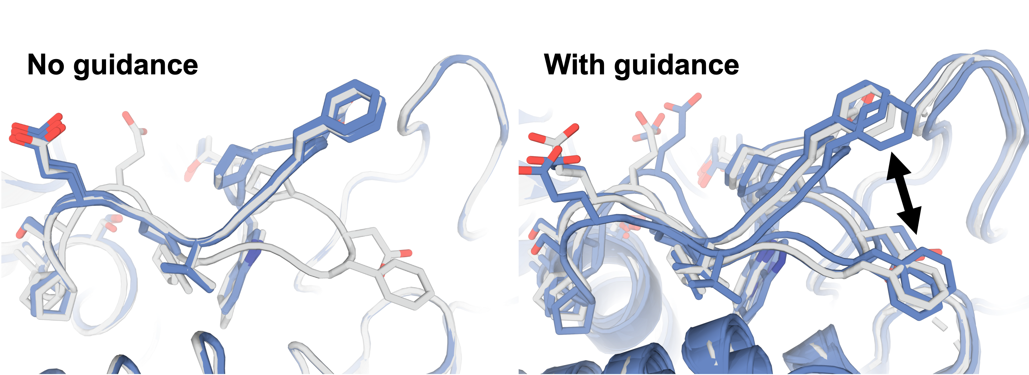 Side-by-side molecular models comparing protein and ligand structures
