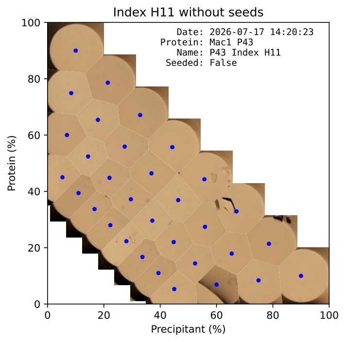 Protein P43 index chart mapping protein against precipitant percentages without seeds