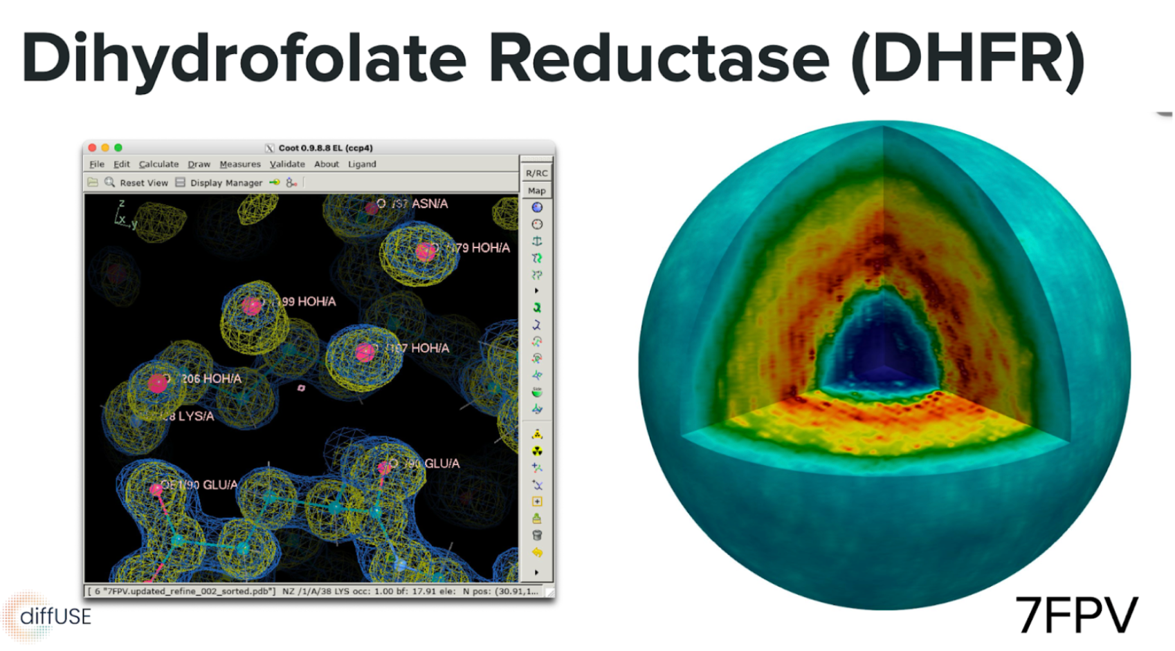 Dihydrofolate reductase molecular model and cutaway density map labeled 7FPV