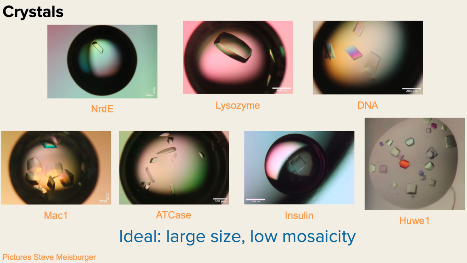 Protein crystal examples labeled NrdE, Lysozyme, DNA, Mac1, ATCase, Insulin, and Huwe1