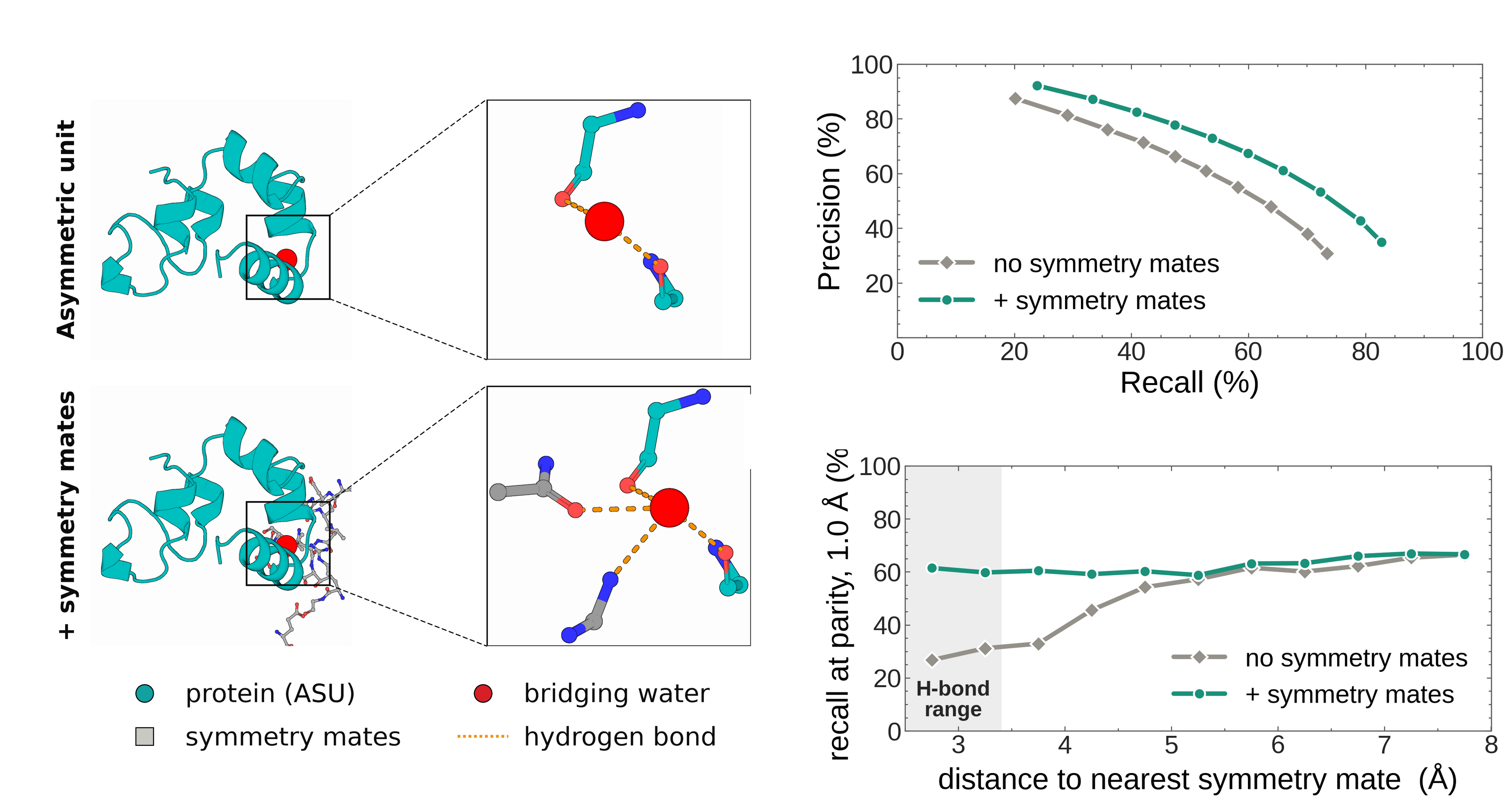 Symmetry mates improve protein bridging-water precision and short-range recall