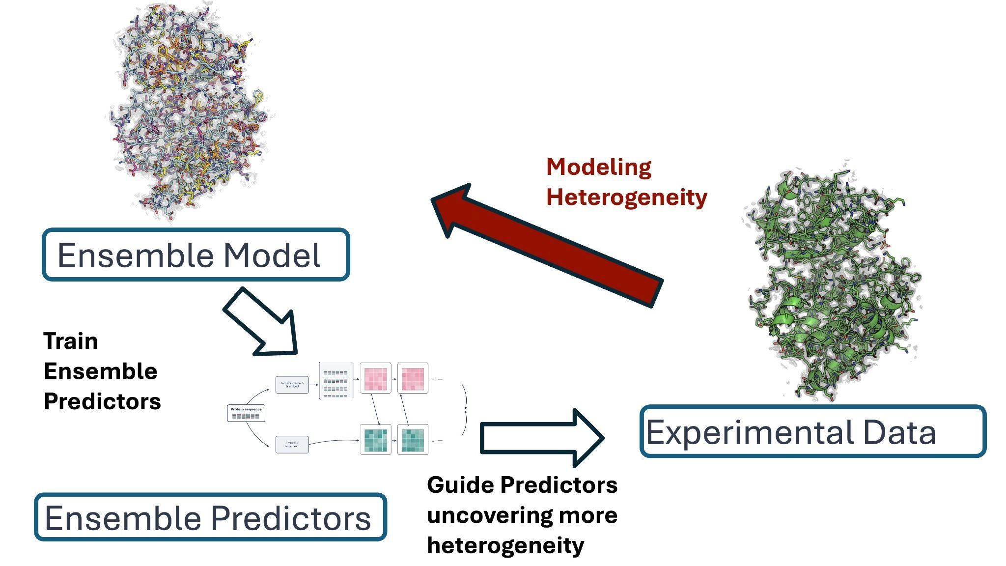Experimental data trains ensemble predictors to model and uncover heterogeneity