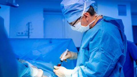 Stem Cell Marketing 101: Everything You Should Know About It