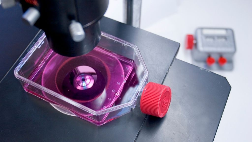 Getting started with your stem cell marketing campaign