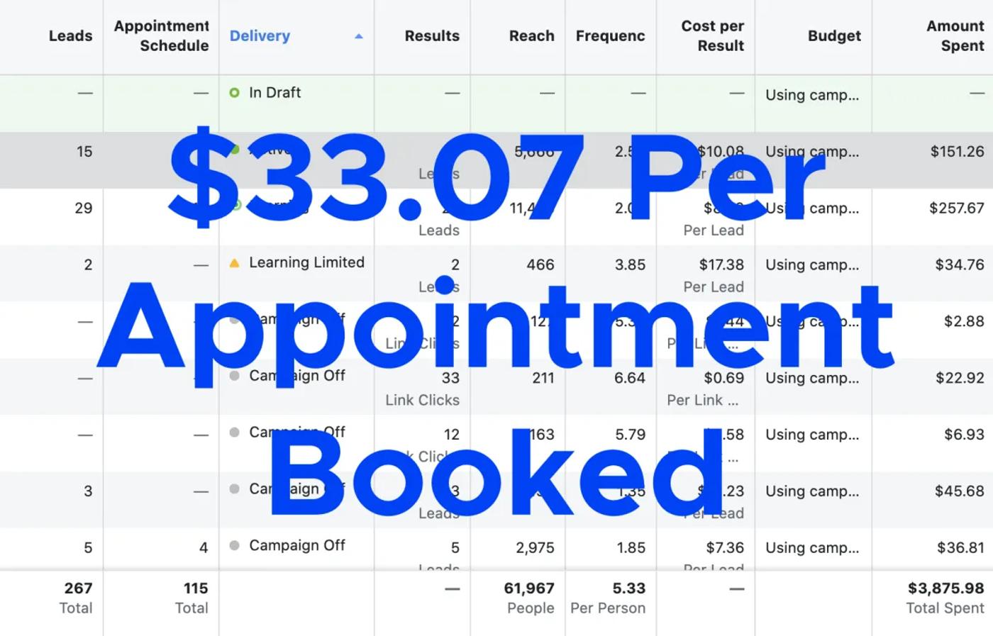$33.07 Per Appointment Booked — 267 leads / 115 appts / $3,875.98 spent