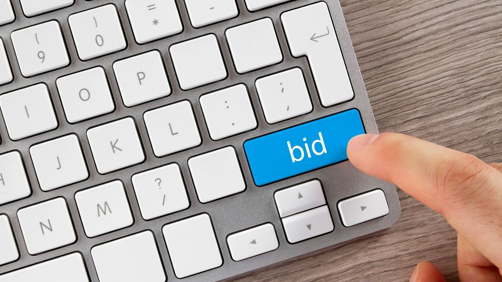 spinal decompression advertising tiktok bidding