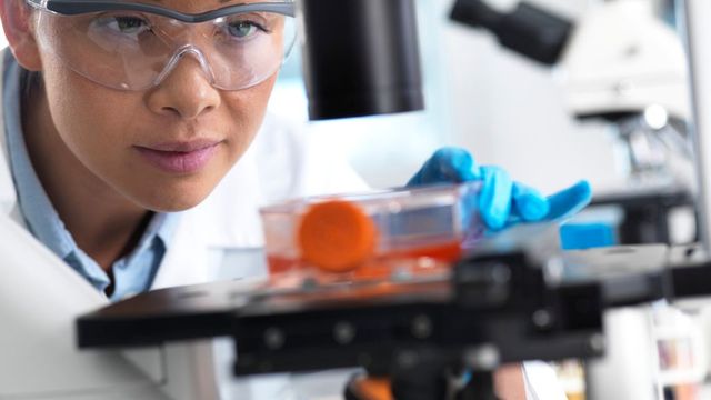 Stem Cell Marketing: Attracting Patients and Offering Cutting-Edge Treatments