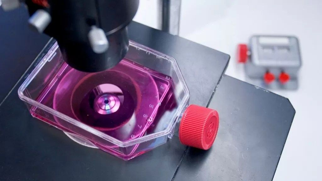 Getting started with your stem cell marketing campaign