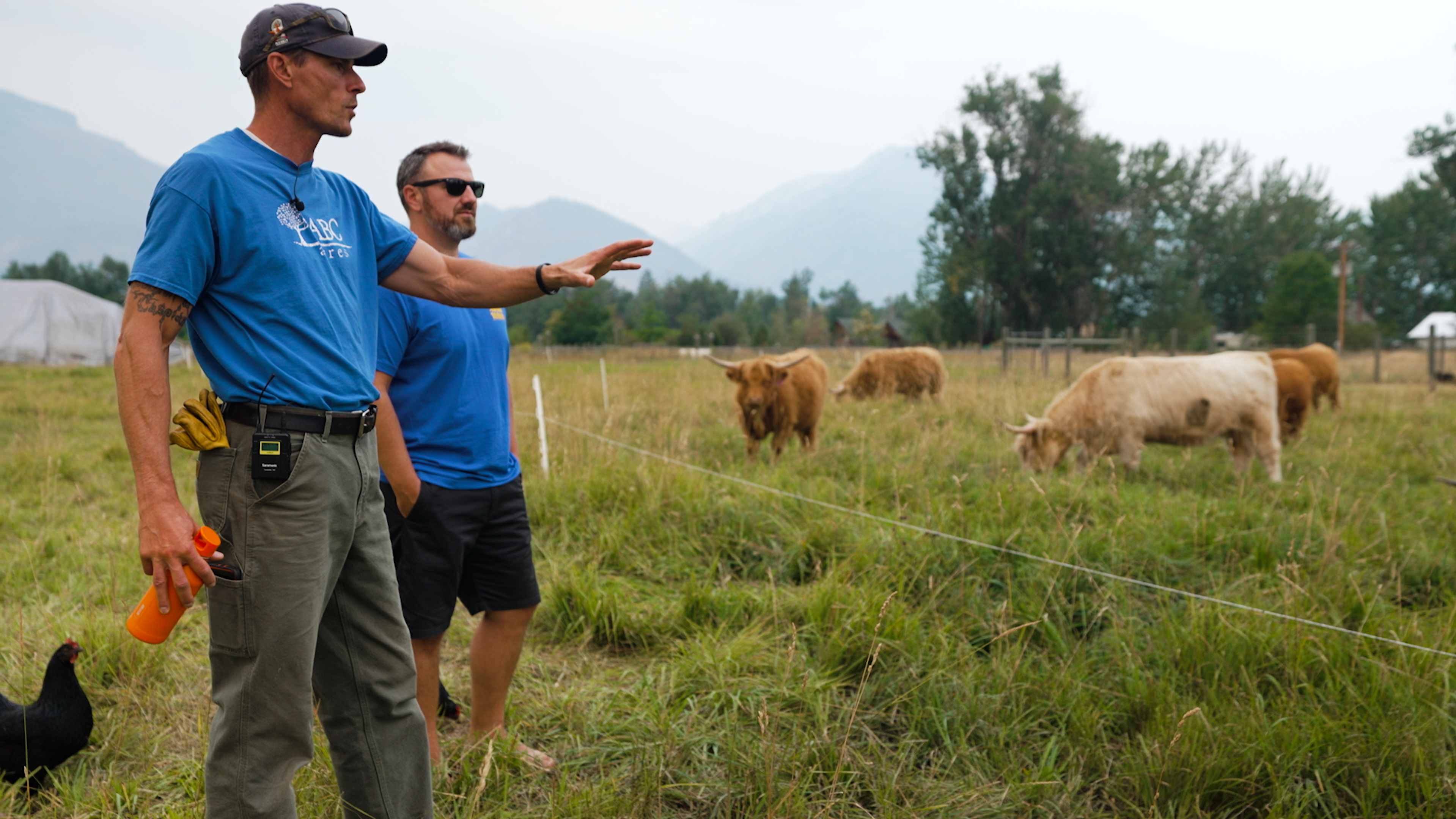 Nature’s Design in Healing and Travel