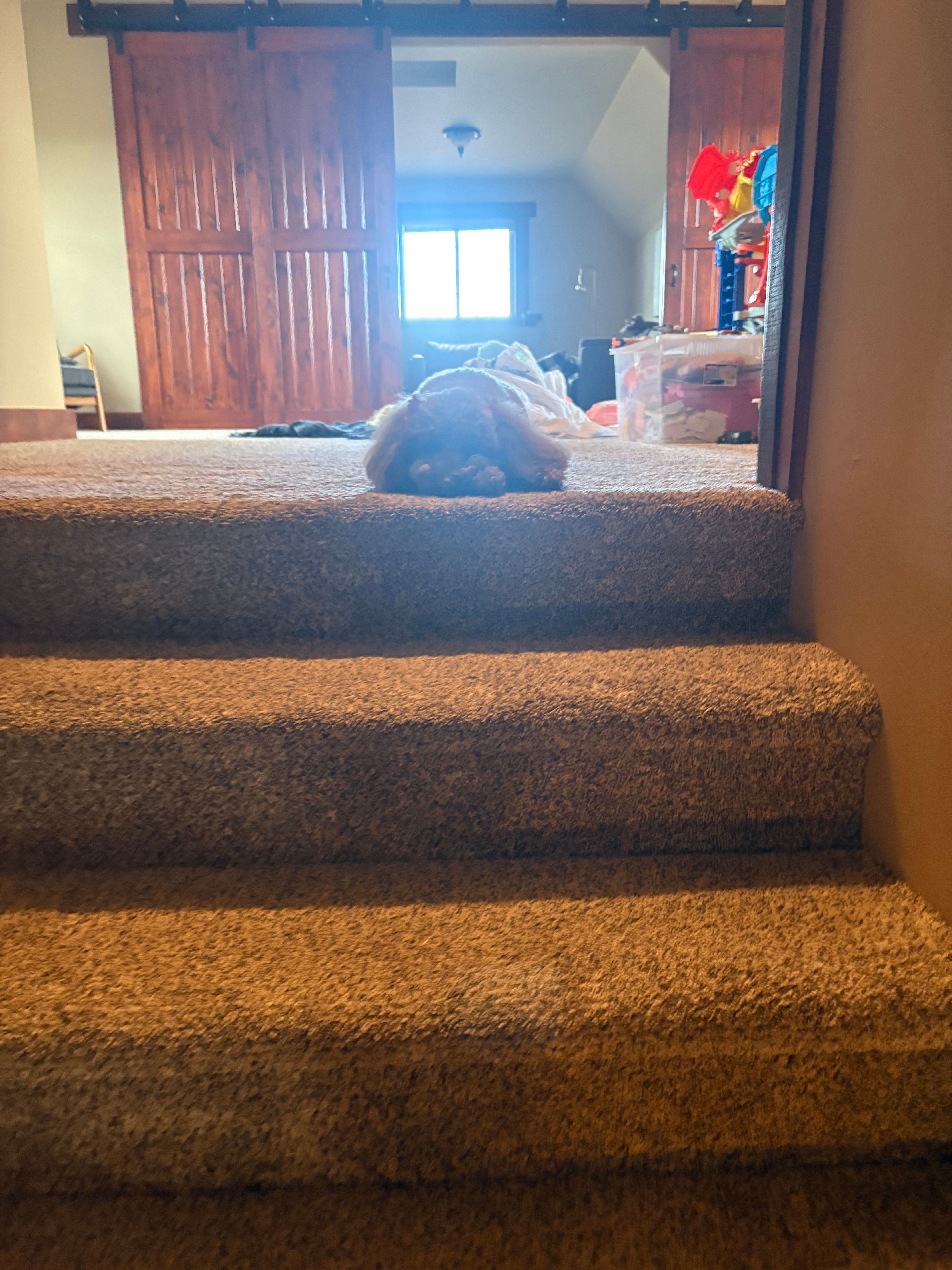Construction supervisor.