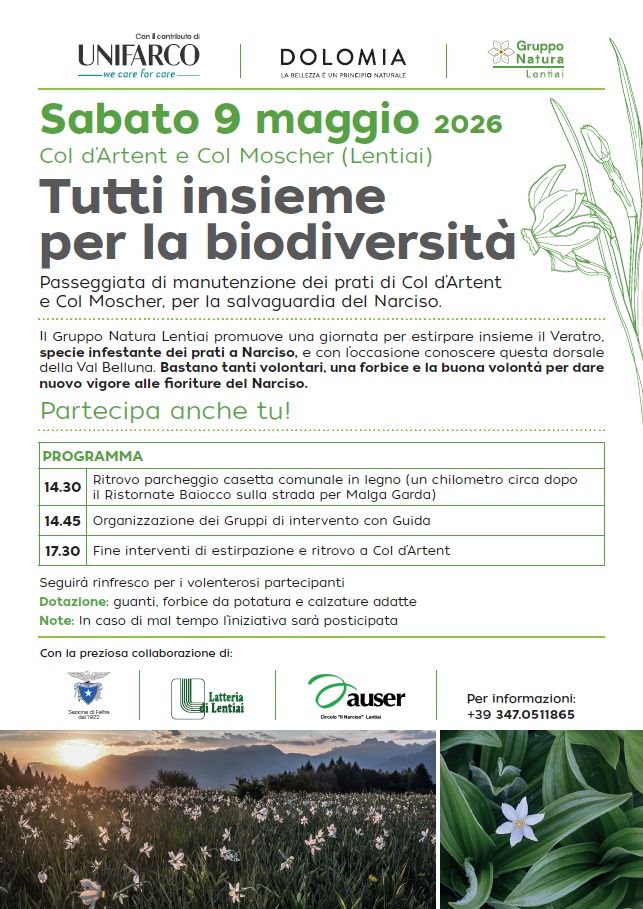 Copertina articolo