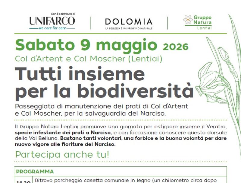Copertina articolo