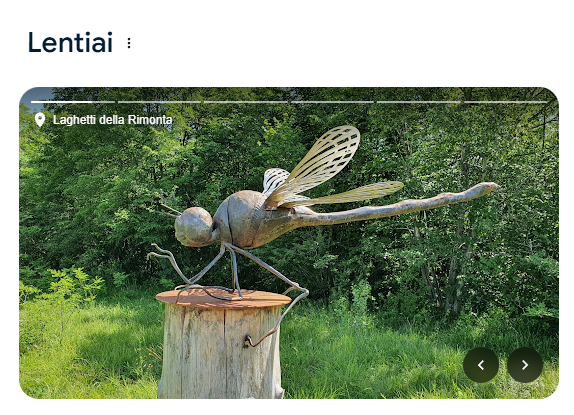 ALT Scultura con libellula di legno