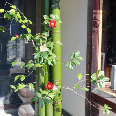 椿の器考 作品・展示 3