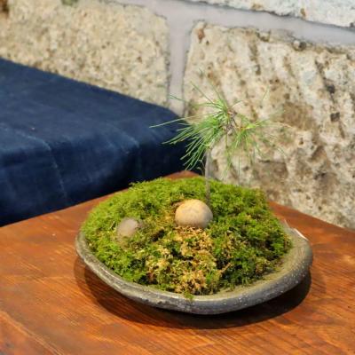 素材と表現展 ~表現~ 作品・展示 14