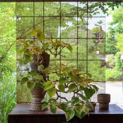 第6回 荻野善史展（荻野善史） 作品 6