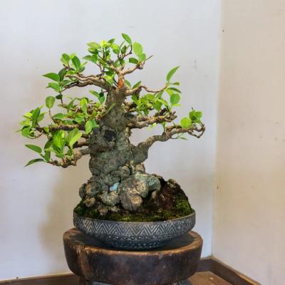 第6回 荻野善史展（荻野善史） 作品 8