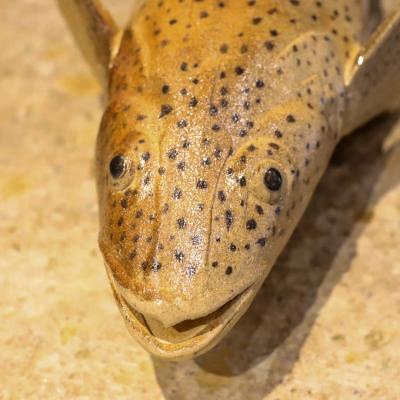 第7回 大島晴男 陶魚展（大島晴男） 作品 5