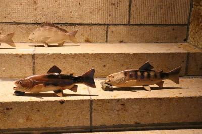 第6回 大島晴男 陶魚展（大島晴男） 作品 9