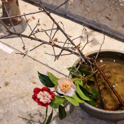 椿の器考 作品・展示 6