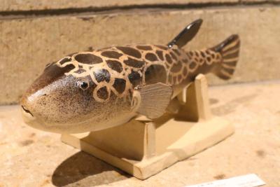 第5回 大島晴男 陶魚展（大島晴男） 作品 13
