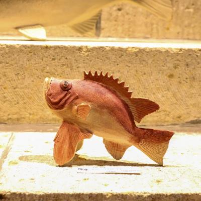 第7回 大島晴男 陶魚展（大島晴男） 作品 9