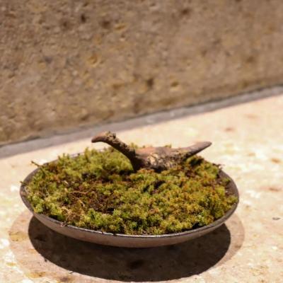 第5回 今成誠一展（今成誠一） 作品 5