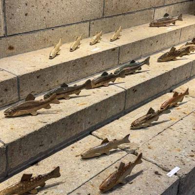 第10回 大島晴男 陶魚展 作品・展示 18