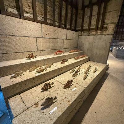 第10回 大島晴男 陶魚展 作品・展示 14
