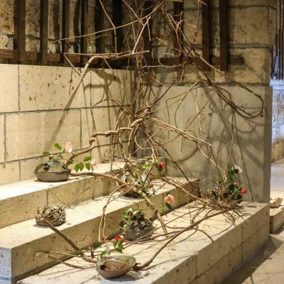 椿の器考 作品・展示 3