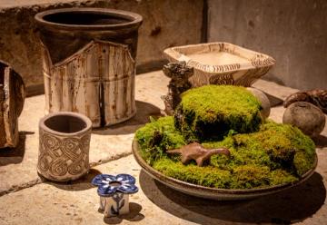 植木鉢とそのまわりに佇むもの