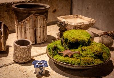 植木鉢とそのまわりに佇むもの（小野優子） 作品 1