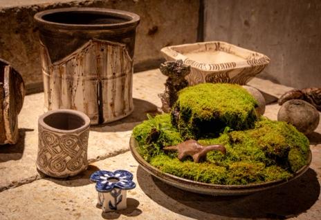 植木鉢とそのまわりに佇むもの DM