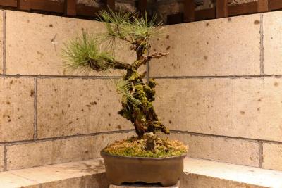 第3回 今成誠一展（今成誠一） 作品 3